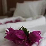 Harmony 3*