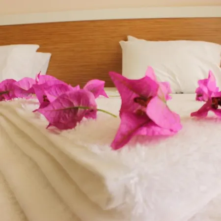 Harmony 3* سيدي