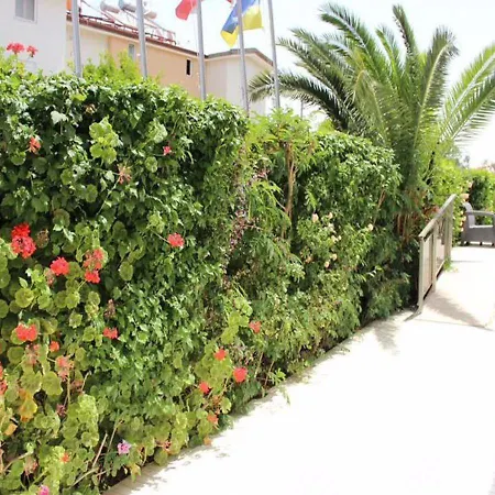 Harmony Hotel 3*